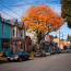 Ryan_Rose_How_small_business_growth_affects_neighborhood_prop_087e9b5c-99ac-4c2d-a515-0fe54f557eb3_1